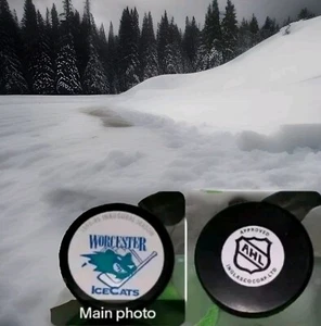 1994-95 WORCESTER ICECATS INAUGURAL SEASON AHL VINTAGE APPROVED PUCK MADE IN🇸🇰 - Bild 1 von 11
