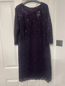 BNWT Evans Size 18 Lace XMAS Sequin Embellished Swing Dress - Picture 1 of 5