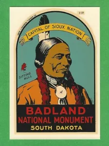 "ORIGINAL DE COLECCIÓN 1950 ""MONUMENTO NACIONAL BADLAND S.D." CALCOMANÍA DE TORO SENTADO ARTE - Imagen 1 de 1