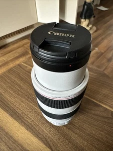Lente Canon EF 70-300 mm f/4-5,6 L IS USM *EXCELENTE ESTADO* - Imagen 1 de 5