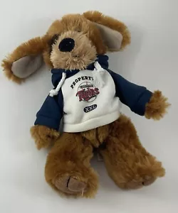 Puppy DOG Minnesota Twins Mascot TC Bear Plush Toy Mascot 9" Good Stuff 2010 - Picture 1 of 3
