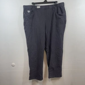 Dream Jeannes By Quacker Factory Pants Womens 1X Short Gray Pull On Stretch Plus - Picture 1 of 15