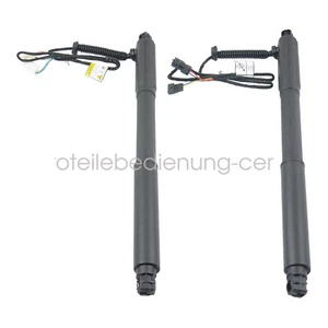 51247332696 51247332695 muelle de gas portón trasero Powerlift trasero L+R para BMW X5 - Imagen 1 de 8