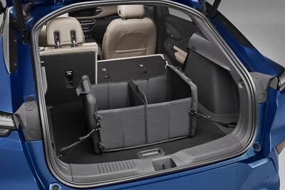 GM OEM NUEVO Organizador de Carga para Vehículos Buick en Negro con Logo Buick 85609315 Foto 1 de 4