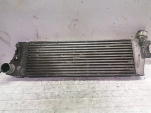 8200115540 REFRIGERADOR INTERMEDIO / 205431 RENAULT MEGANE II BERLINA 3P CONFORT AUTH - Imagen 1 de 7