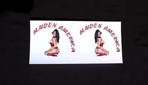 Maiden America Graphics Decals RC Plane Airplane - Picture 1 of 2