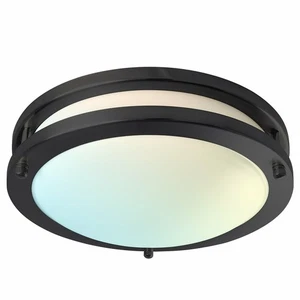 Luxrite 10 Inch LED Flush Mount 5 CCT Dimmable 14W 1050 Lumens Matte Black - Picture 1 of 7