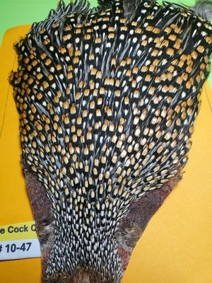 Jungle Cock Cape SUPER AAA   10-47 USA Only  - Image 1 of 4