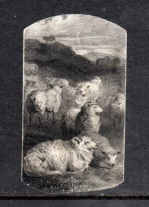 ABNC 'Flock of Sheep' Vignette Proof on India Intaglio 1800s - Picture 1 of 2