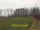 Photo 6x4 Trees near Spring House, Huby Huby/SE5665  c2007