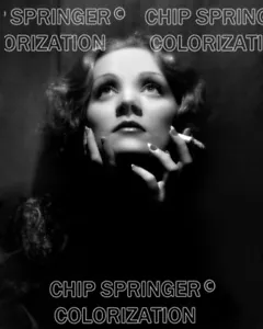 MARLENE DIETRICH IN THE SPOTLIGHT 11x14 Black & White PHOTO BY CHIP SPRINGER - Picture 1 of 1