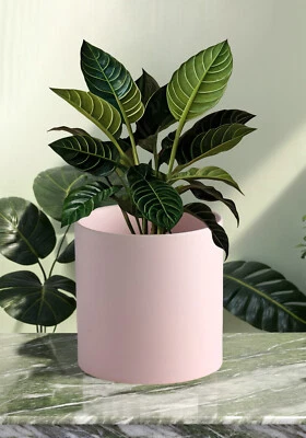 Macetas de cerámica negra para plantas de interior con orificio de drenaje de 3,2 pulgadas Foto 1 de 4