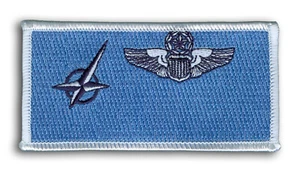 NATO Nord Atlantico Trattato Organizzazione Aeronautica Comando Pilota Nametag - Foto 1 di 1