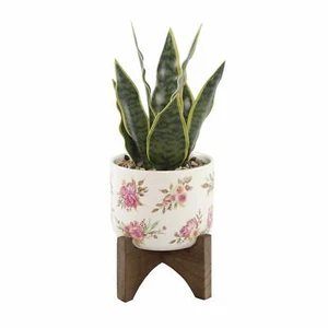 Flora Bunda 12" Artificial Snake Plant in Floral Ceramic Pot on Wood Stand - Picture 1 of 3