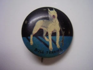 Vintage Metal Pinback Button Bull Terrier FREE SHIPPING - Picture 1 of 3
