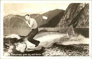 RPPC Kamloops wachsen groß und gemein in Lake Pend Oreille, Ausweis Übertreibung Idaho - Bild 1 von 2