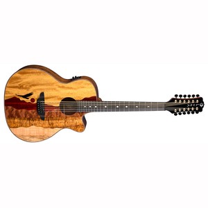 Las mejores ofertas en Cuerpo de caoba cuerpo sólido de 12 Cuerdas Guitarras  electroacústicas | eBay