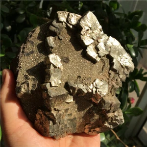 2030g Collectibles Natural Rhombic PYRITE Crystal Cluster Mineral Specimen W350 - Picture 1 of 12