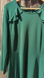 Ann Taylor Damengröße 10 grünes Langarmkleid – brandneu - Bild 1 von 5
