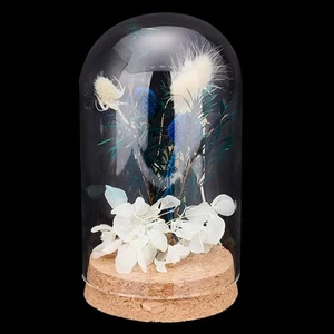 Cloche Glass Dome, Glass Display Dome with Cork Base Decoration Bottles Cloch... - Picture 1 of 8