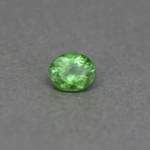 SHOLA Real 0,75 Ct Tsavorita Natural / Tsavolita Granate Muy Raro de Kenia - Imagen 1 de 4