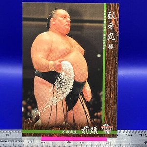 Gagamaru Masaru Sumo Wrestler Trading Card BBM 2016 Rikishi TCG Japanese #17