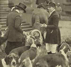 Tedworth Hunt Meet Tottenham House Savernake Forest 1925 Photo Article R165 - Imagen 1 de 2