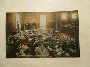 Postal de pescado pesca de salmón del río Columbia esperando envío - Imagen 1 de 2