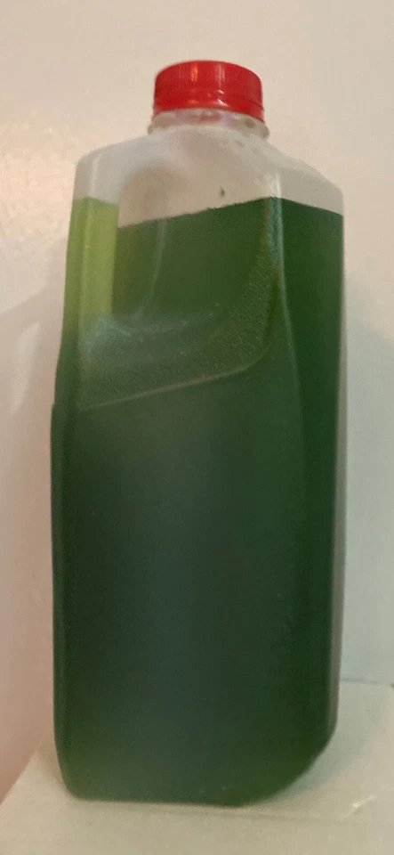 64 унц половина галлона пресной зеленой воды культуры хлореллы (фитопланктон) greenwater - Изображение 1 из 1