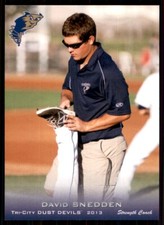 2013 Grandstand Tri-City Dust Devils David Snedden Tri-City Dust Devils #NNO