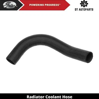 For 1966 Fargo W200 Pickup 5.2L V8 GAS Radiator Coolant Hose Lower Gates - Image 1 of 4