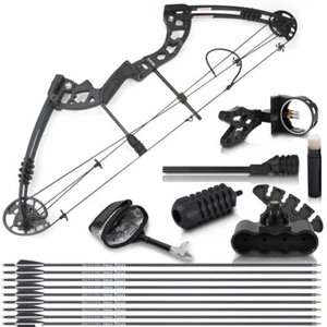 30-55lb Archery Compound Bow Set Pure Carbon Arrows Outdoor Target Hunting - Picture 1 of 19
