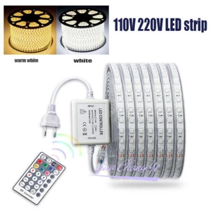 110V 220V 5050 RGB LED strip light with Remot controller white light with Plug - Picture 1 of 8