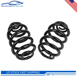 Pair Rear Coil Springs For BMW X3 2004-2010 L6 2.5L 3.0L 33533413081 RJ6641 - Bild 1 von 6