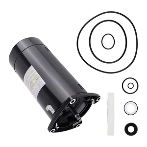 Poolpumpe Ersatzmotor 1,5 PS für Bodenpools 115/230V ASQ165 Single Speed - Bild 1 von 12
