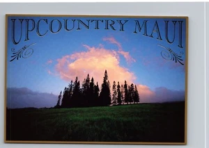 Cartolina UPCOUNTRY MAUI HI (stampa in lamina d'oro) E2 - Foto 1 di 2