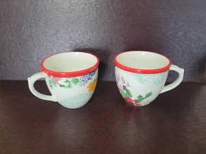 Pioneer Woman COUNTRY GARDEN Coffee Cups Mugs 17 oz. Set Of 2 Red Accent Used - Picture 1 of 10