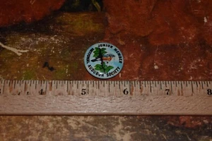 Pinback membro junior vintage National Audubon Society. - Foto 1 di 2