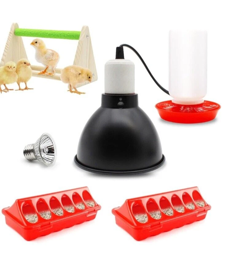 Gifank Chick Feeder & Water Kit Heater - Image 1 of 4