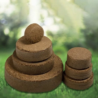 Kit de inicio de 10 piezas de suelo de pellets de fibra de coco para microgreens y pasto de trigo Foto 1 de 4