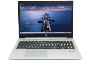 HP ProBook 450 G6 i5-8265U 8GB RAM 256GB SSD MX130 Windows 11 Pro 15.6" Laptop - Picture 1 of 7