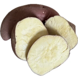 Fresh Japanese Sweet Potatoes Yam Red Skin White Flesh - Small Roots - Picture 1 of 9