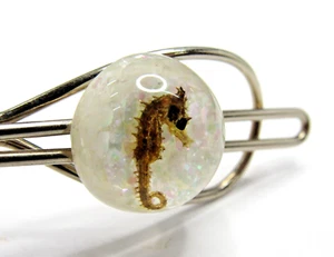 Clip de corbata Seahorse/Clip de dinero pez marino animal marino náutico #JL-27 - Imagen 1 de 6