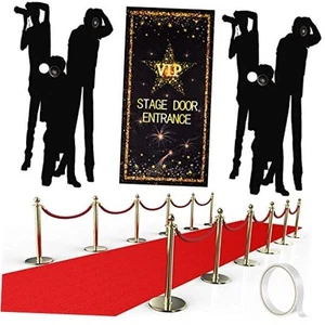 VIP Stage Door Entrance Banner Photography Backdrop Red Carpet Paparazzi - Picture 1 of 7