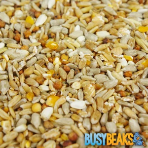 BusyBeaks No Mess Seed Mix - Wild Bird Feed Premium Quality Garden Food - Picture 1 of 48