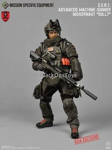 1/6 scale ZERT AMG Juggernaut Sully Wolf Grey ASIA Exclusive Mint In Box - Picture 1 of 24