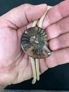 Ammonite Fossil Madagascar Western Bolo Tie - Picture 1 of 2