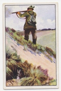 KANINCHENJAGD FRETTCHEN RABBIT FERRET LAPIN FURET JAGD FANG IMAGE CARD 1930's - Picture 1 of 2