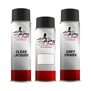 spray paint Lacquer mix to code colour mixed custom car AEROSOL Van Panel Match - Picture 1 of 7