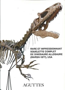 AGUTTES Complete Skeleton Dinosaur Allosaurus Fossil Auction Catalog 2016 - Foto 1 di 1